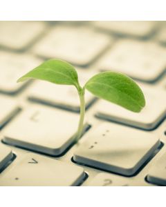 Grünes Blatt, das aus einer Tastatur wächst